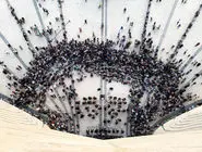 مهمانی تمام شد/چرا به‌رغم همه وعده‌‏ها به همدلی و انسجام در زمان جنگ 12 روزه در بر همان پاشنه می‏‌چرخد؟