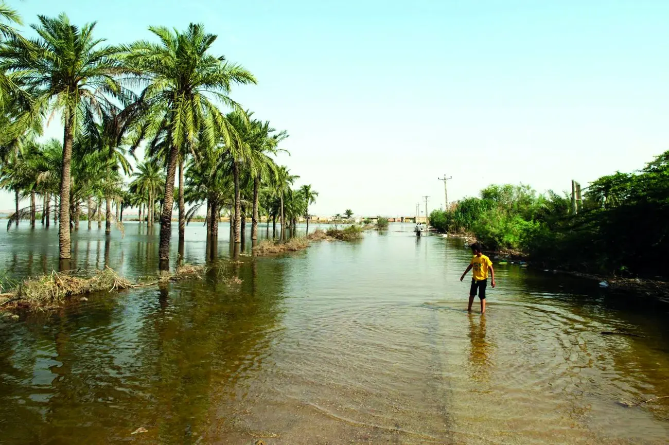 100 درصد خرما از دست رفت