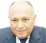 سیاستمداران