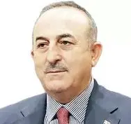 دیپلماتها