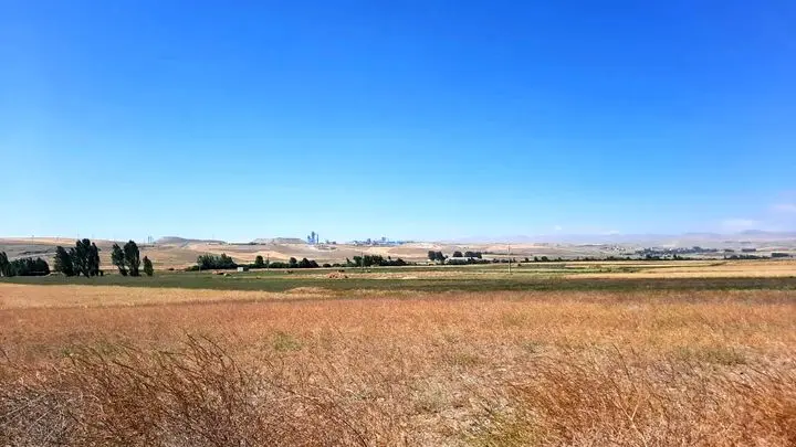 جنجال یک پتروشیمی دیگر