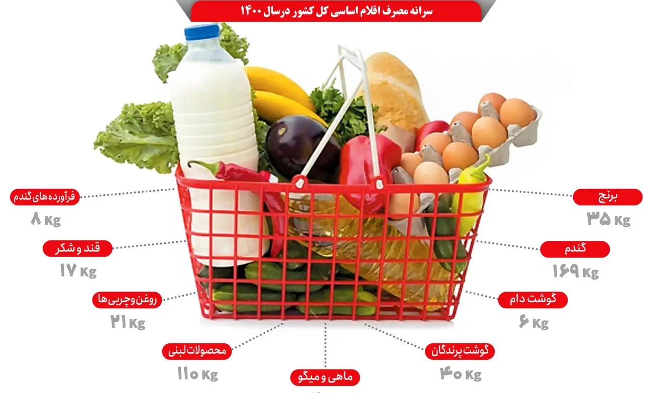 سفرهها کوچکتر میشود