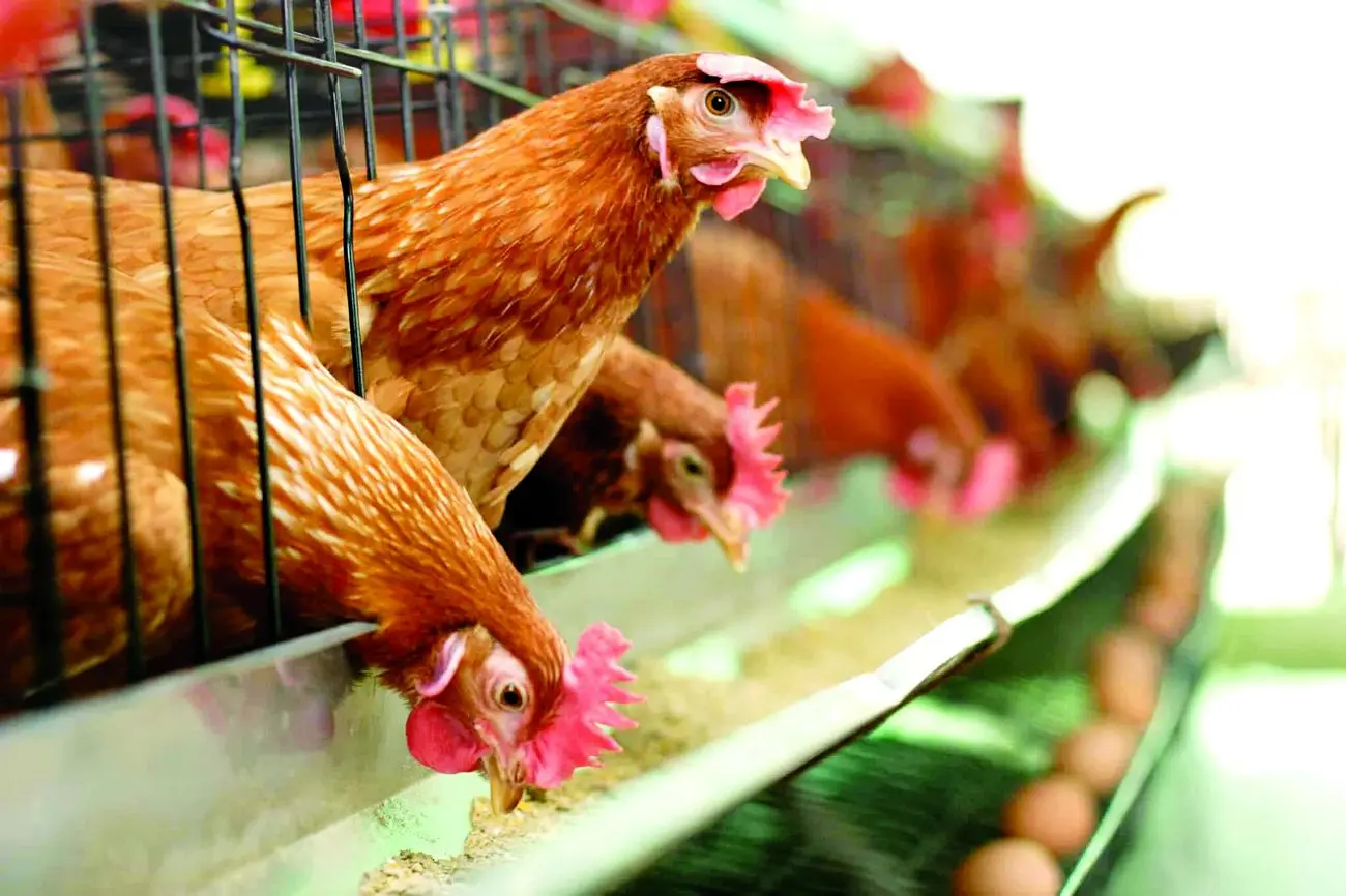 دسترسی آقای «الف» به رمز ورود