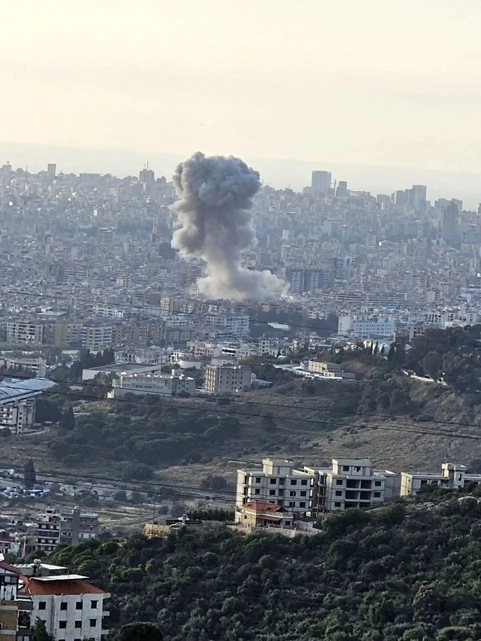 ادعای ترور یکی از فرماندهان حزب‌الله در حمله به حاره حریک