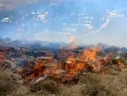 آتش‌سوزی در دامنه دماوند ۱۰ هکتار مرتع را سوزاند