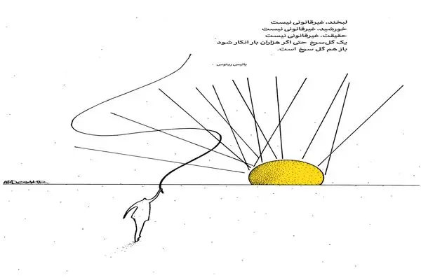 سمفونی خطوط