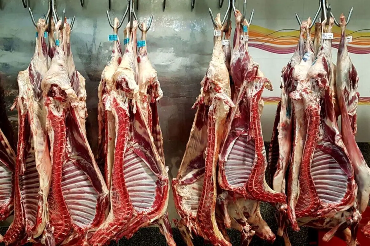 دلیل افزایش قیمت گوشت قرمز مشخص شد