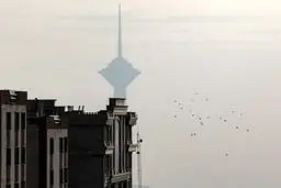 وزارت ارشاد: توقف همه برنامه‌های فرهنگی در پایتخت