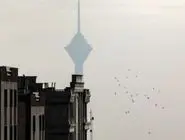 وزارت ارشاد: توقف همه برنامه‌های فرهنگی در پایتخت