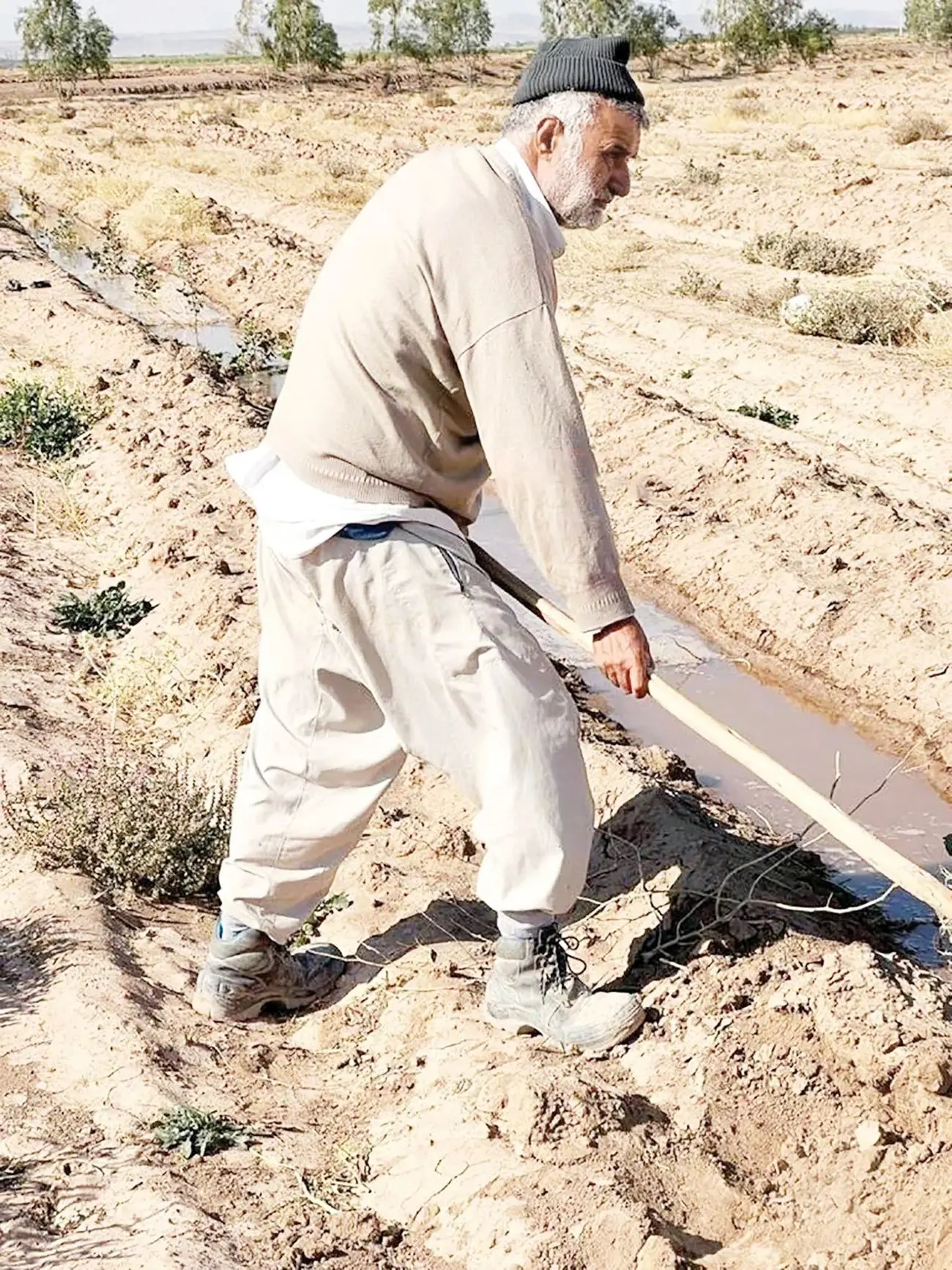 حال بِنِه بیل و برآوَر کُلَنگ