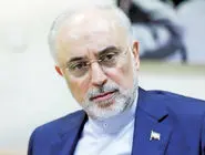 صالحی: رویکرد فعلی سیاست خارجی، خطر انزوای استراتژیک ایران را در پی دارد