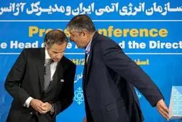 غریب‌آبادی: گروسی چهارشنبه به تهران می‌آید
