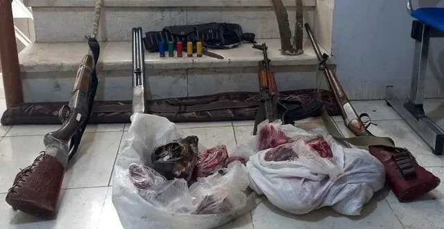کشف لاشه سه کل و بز وحشی و چهار قبضه سلاح در بم