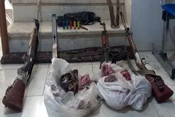 کشف لاشه سه کل و بز وحشی و چهار قبضه سلاح در بم
