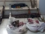 کشف لاشه سه کل و بز وحشی و چهار قبضه سلاح در بم