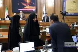 هتاکی به نرجس سلیمانی در فضای مجازی به شورای شهر تهران کشیده شد/ چند می‌گیری تخریب کنی؟