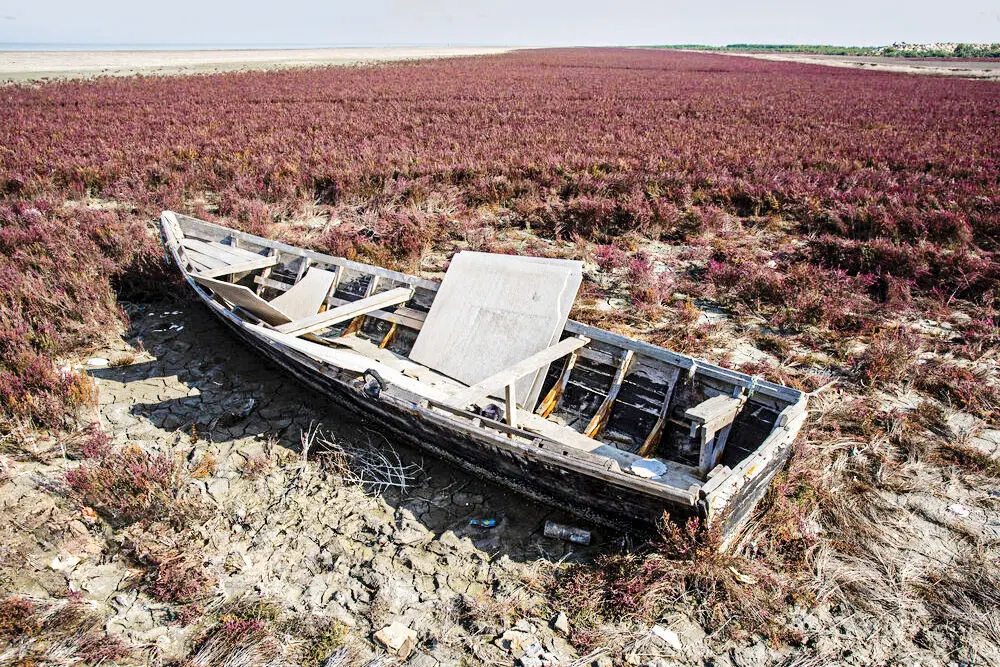 1405 ؛ سال سخت «شمال»/بررسی خشکسالی و کاهش بارش در استان‏‌های شمالی ایران که در سال آینده تشدید خواهد شد