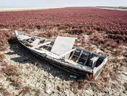 1405 ؛ سال سخت «شمال»/بررسی خشکسالی و کاهش بارش در استان‏‌های شمالی ایران که در سال آینده تشدید خواهد شد