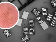 ربات‌هایی کوچک‌تر از دانه نمک با مغز دیجیتال