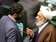 هشدار عضو جبهه پایداری به پزشکیان: باید قانون حجاب را اجرا کنی 