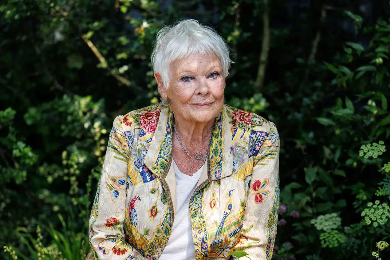 تقاضای دنچ برای بخشش واینستاین