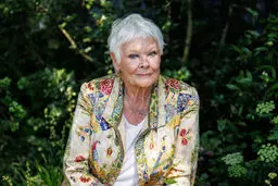 تقاضای دنچ برای بخشش واینستاین