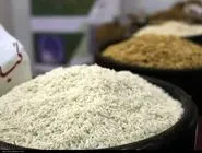 برنج هندی ارزان شد