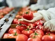 8 روش کنترل کیفیت ضروری برای صنایع غذایی