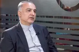 سبحانی: اطلاعاتی داریم که ریزپرنده‌ها از برخی کشورهای همسایه وارد ایران شده است