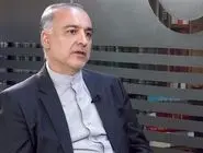 سبحانی: اطلاعاتی داریم که ریزپرنده‌ها از برخی کشورهای همسایه وارد ایران شده است