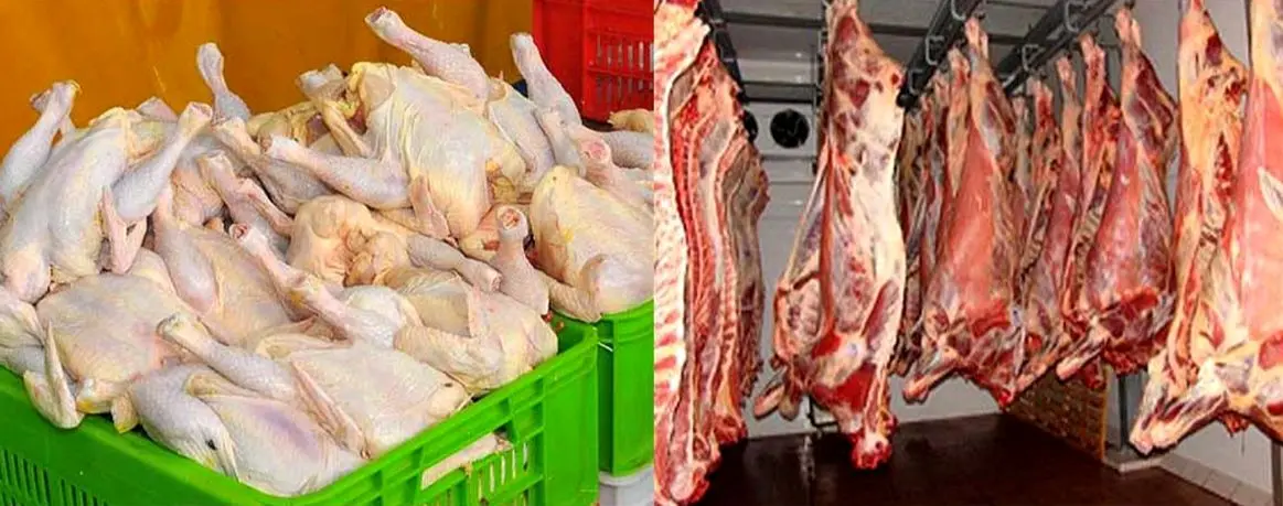 برنامه وزارت جهاد کشاورزی برای خودکفایی گوشت قرمز تا سه سال آینده/مرغداران مجبور به عرضه زودهنگام تولید شدند