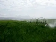 کمبود ۴۰۰ میلیون مترمکعبی آب در بخش کشاورزی خراسان شمالی