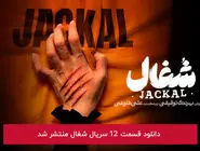 دانلود قسمت 12 دوازدهم سریال شغال با لینک مستقیم رایگان