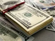 دلار و کارنامه فرزین