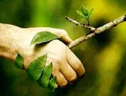 تشنگی به قصد کشتن