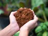 طرز تهیه خاک کوکوپیت | آموزش مرحله به مرحله + نکات مهم در خرید