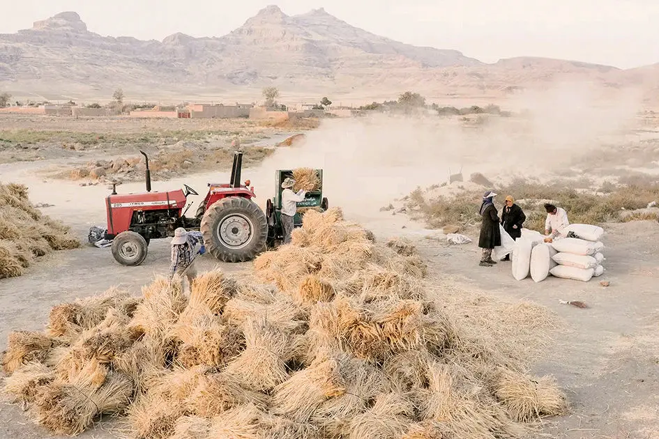 توفان تخلیه/خشکی دریاچه ارومیه و توفانهای نمک موجب مهاجرت مردان و بیکاری زنان روستاهای اطراف، افزایش سرطان، انواع بیماریهای ناشناخته و خشونت شده است