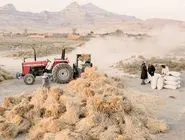 توفان تخلیه/خشکی دریاچه ارومیه و توفان‌های نمک موجب مهاجرت مردان و بیکاری زنان روستاهای اطراف، افزایش سرطان،  انواع بیماری‌های ناشناخته و خشونت شده است
