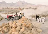 توفان تخلیه/خشکی دریاچه ارومیه و توفان‌های نمک موجب مهاجرت مردان و بیکاری زنان روستاهای اطراف، افزایش سرطان،  انواع بیماری‌های ناشناخته و خشونت شده است