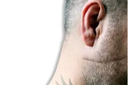 روایتی عجیب از دست‌مزد شرخرها
