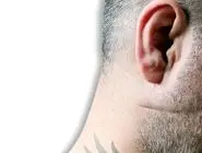 روایتی عجیب از دست‌مزد شرخرها