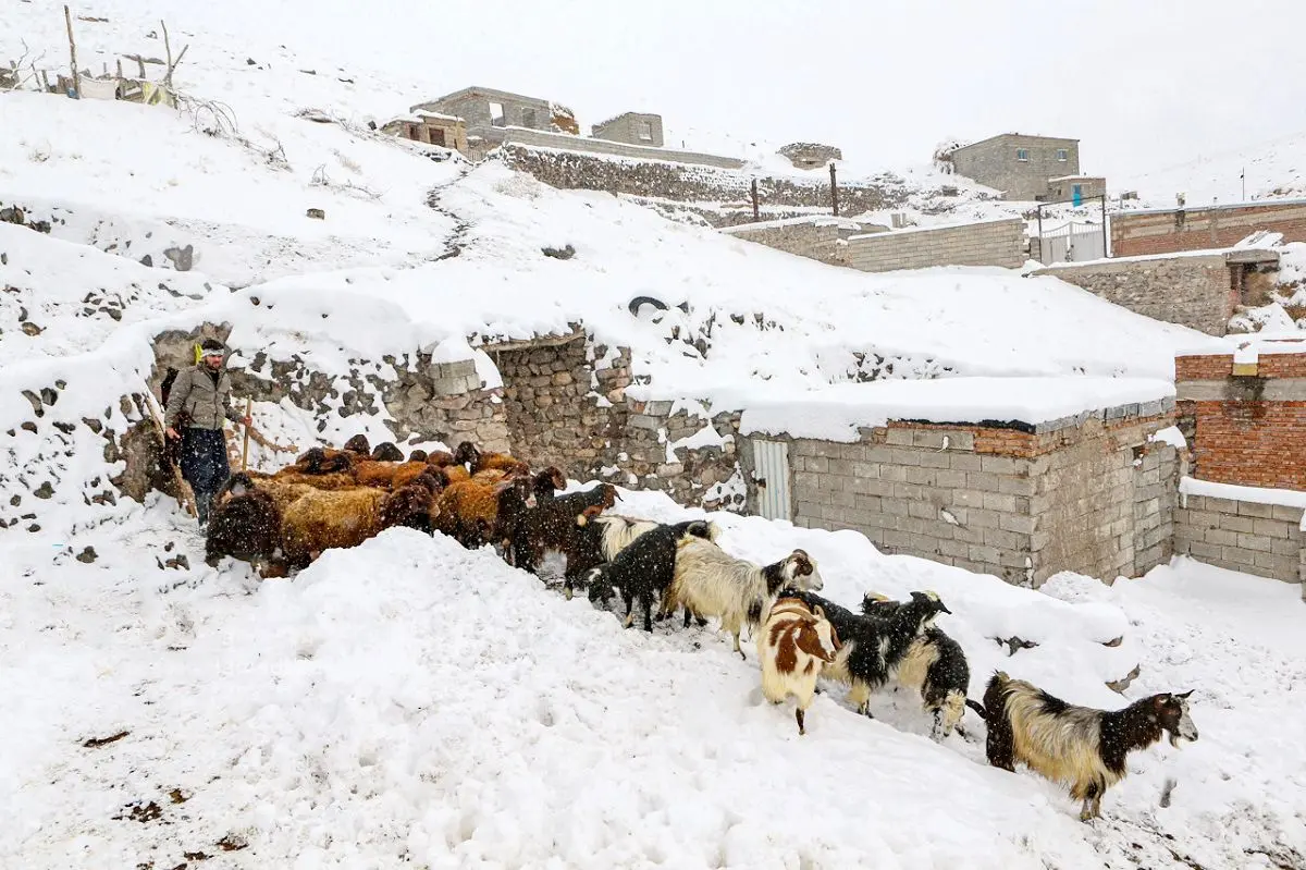 گوشه چشم معشوق/درباره عکسی از بارش برف زمستانی در روستای اسکندان اسکو