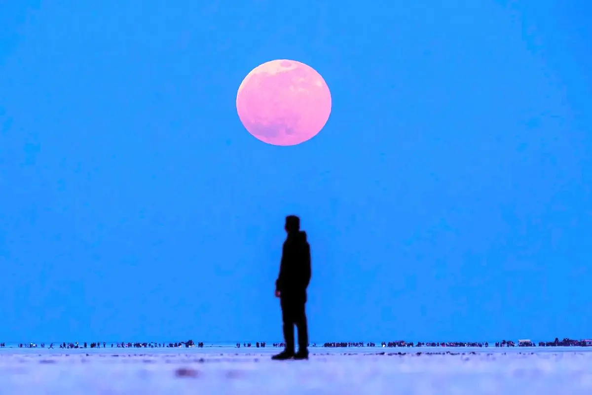 ماه را برای دیوانهها بگذارید/درباره عکسی از خسوف خونین