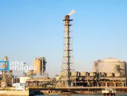 نرخ خوراک؛ تخفـیفی به غول‌ها/بررسی اصلاح فرمول در بودجه ۱۴۰۵ با حذف دو هاب اروپایی