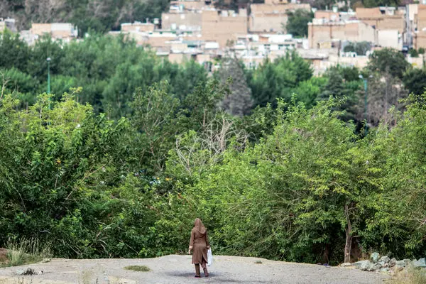 ناگفته‌های پرونده سوپراستار/گفت‏‌وگو با شاکی پرونده «پژمان جمشیدی»، وکیل این بازیگر و بررسی روند حقوقی پرونده‌‏های مربوط به زنای به عنف