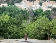 ناگفته‌های پرونده سوپراستار/گفت‏‌وگو با شاکی پرونده «پژمان جمشیدی»، وکیل این بازیگر و بررسی روند حقوقی پرونده‌‏های مربوط به زنای به عنف