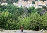 ناگفتههای پرونده سوپراستار/گفتوگو با شاکی پرونده «پژمان جمشیدی»، وکیل این بازیگر و بررسی روند حقوقی پروندههای مربوط به زنای به عنف