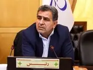 نماینده مجلس: اندیشه‌ای برای حفاظت از جنگل و جنگلبانی نداشتیم