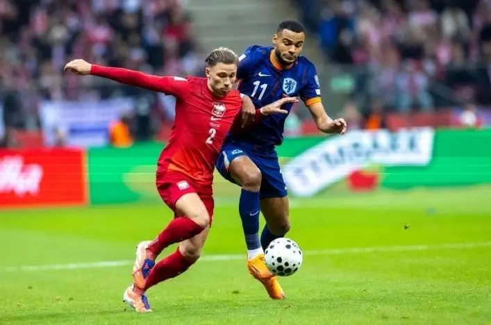 خلاصه دیدار تیم ملی لهستان و هلند