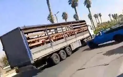 تصمیم قاطع آموزش و پرورش فارس در برابر تخلف مدیر مدرسه جهرمی